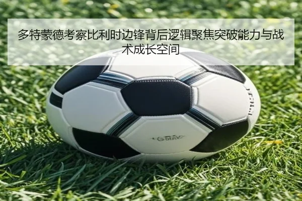 img_1784171962089_1519_0_370.jpg